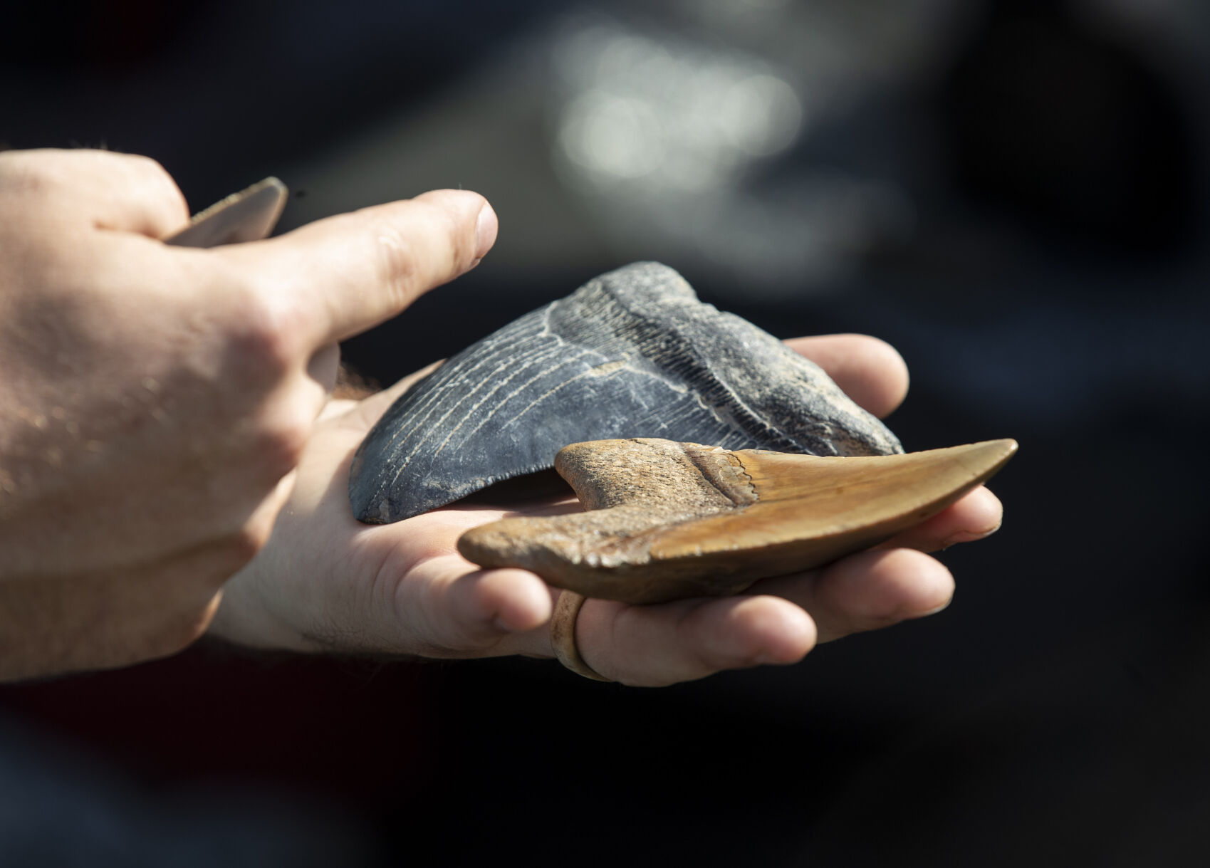 Fossil Hunter Matthew Mitchell_01.JPG